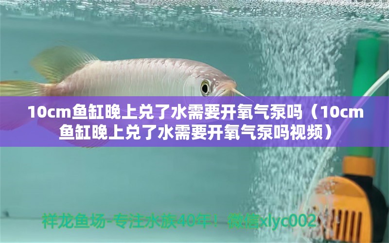 10cm鱼缸晚上兑了水需要开氧气泵吗（10cm鱼缸晚上兑了水需要开氧气泵吗视频）