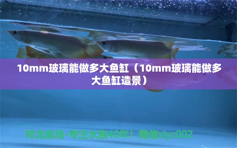 10mm玻璃能做多大鱼缸（10mm玻璃能做多大鱼缸造景）