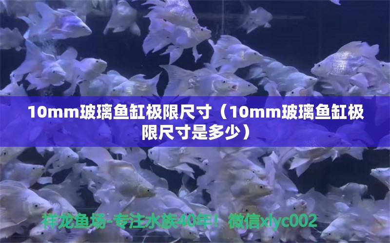 10mm玻璃鱼缸极限尺寸（10mm玻璃鱼缸极限尺寸是多少） 鱼缸百科