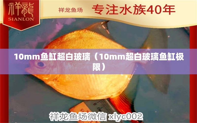 10mm鱼缸超白玻璃（10mm超白玻璃鱼缸极限）