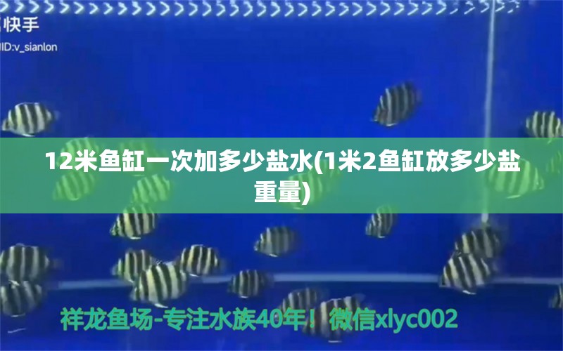 12米鱼缸一次加多少盐水(1米2鱼缸放多少盐重量)