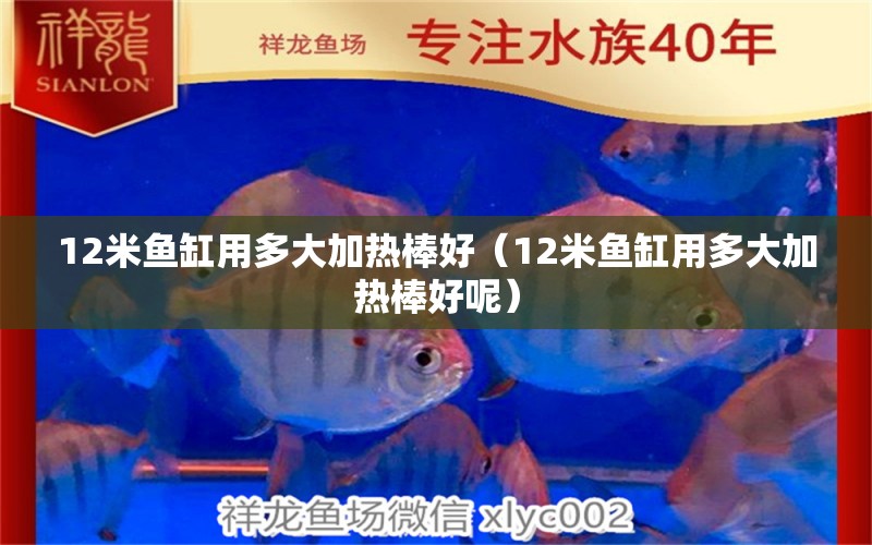 12米鱼缸用多大加热棒好（12米鱼缸用多大加热棒好呢） 其他品牌鱼缸