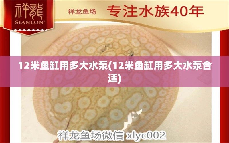 12米鱼缸用多大水泵(12米鱼缸用多大水泵合适)