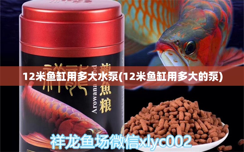 12米鱼缸用多大水泵(12米鱼缸用多大的泵)