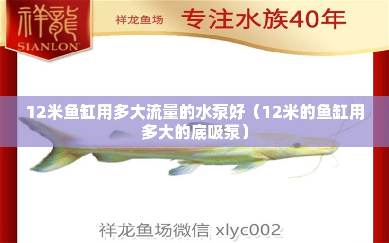 12米鱼缸用多大流量的水泵好（12米的鱼缸用多大的底吸泵） 其他品牌鱼缸