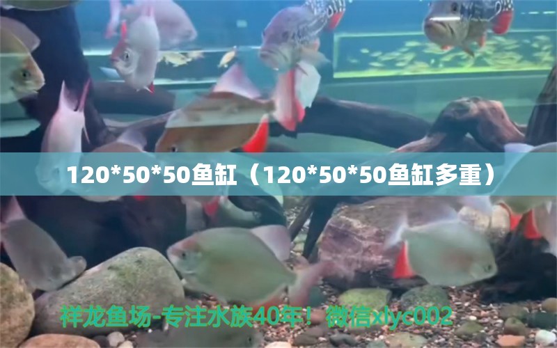 120*50*50鱼缸（120*50*50鱼缸多重） 祥龙水族医院