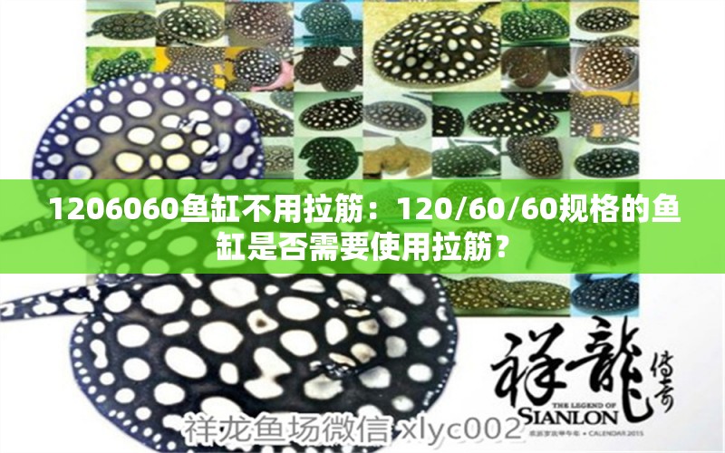 1206060鱼缸不用拉筋：120/60/60规格的鱼缸是否需要使用拉筋？