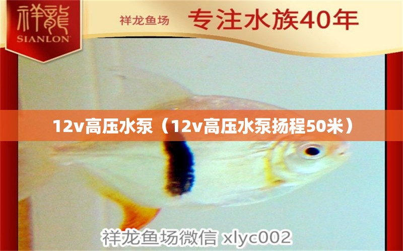 12v高压水泵（12v高压水泵扬程50米）