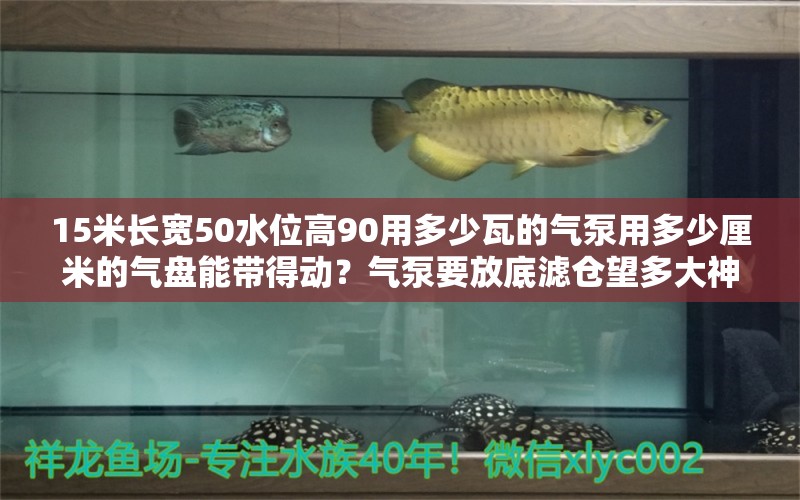 15米长宽50水位高90用多少瓦的气泵用多少厘米的气盘能带得动？气泵要放底滤仓望多大神指点 充氧泵 第2张