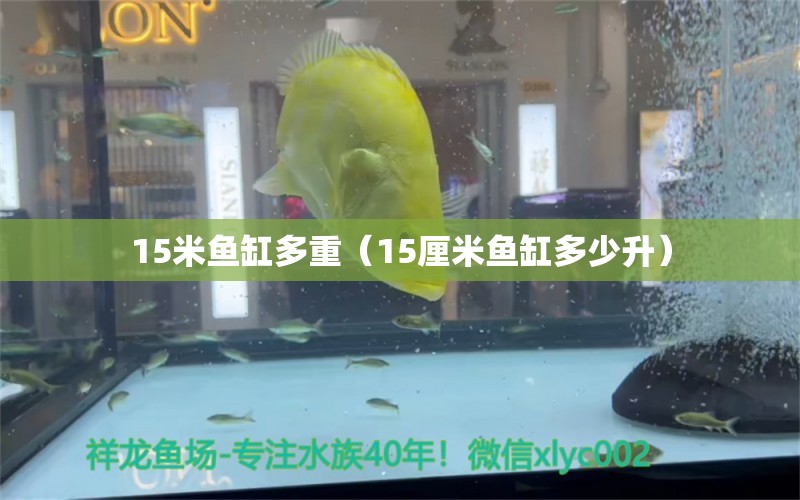 15米鱼缸多重（15厘米鱼缸多少升） 其他品牌鱼缸