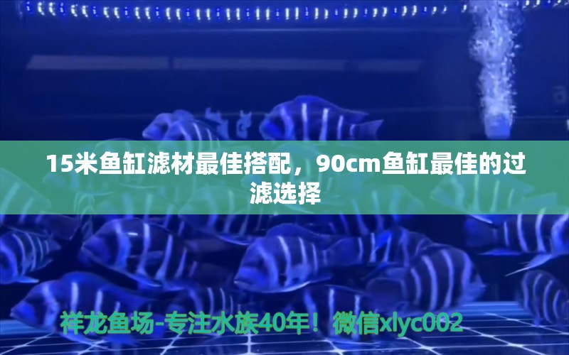 15米鱼缸滤材最佳搭配，90cm鱼缸最佳的过滤选择