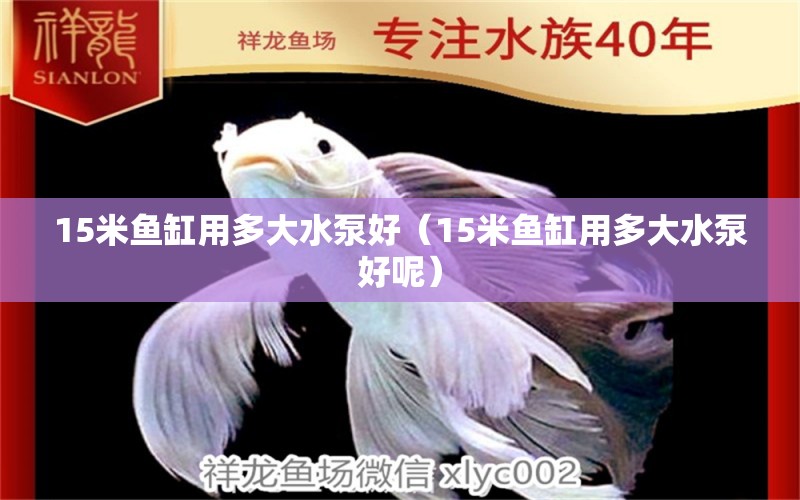 15米鱼缸用多大水泵好（15米鱼缸用多大水泵好呢） 其他品牌鱼缸