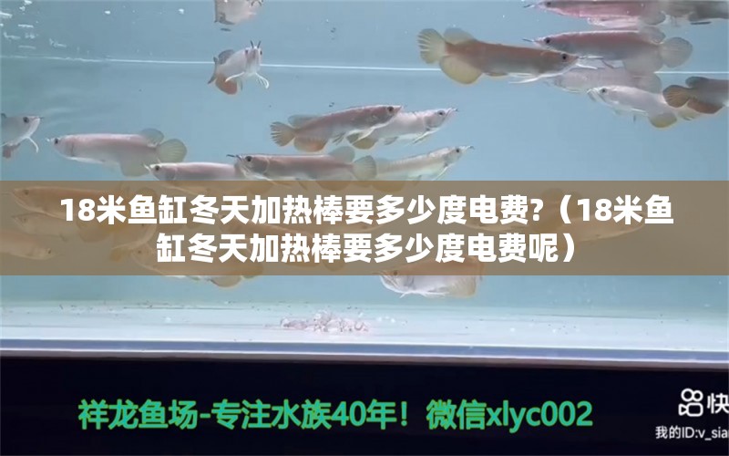 18米鱼缸冬天加热棒要多少度电费?（18米鱼缸冬天加热棒要多少度电费呢） 其他品牌鱼缸