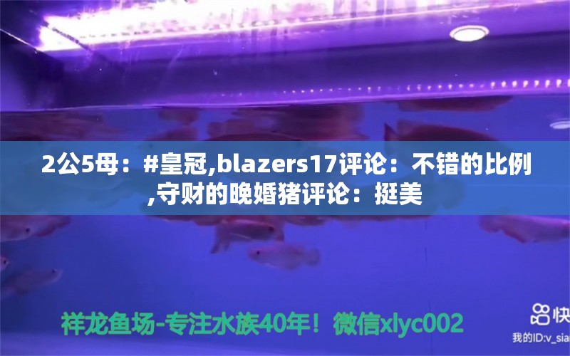 2公5母：#皇冠,blazers17评论：不错的比例,守财的晚婚猪评论：挺美 观赏鱼论坛 第2张