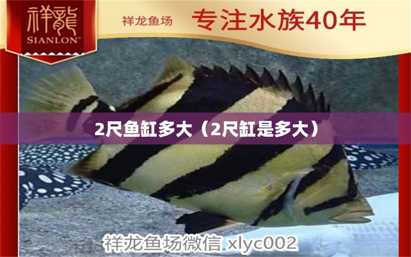 2尺鱼缸多大（2尺缸是多大） 其他品牌鱼缸