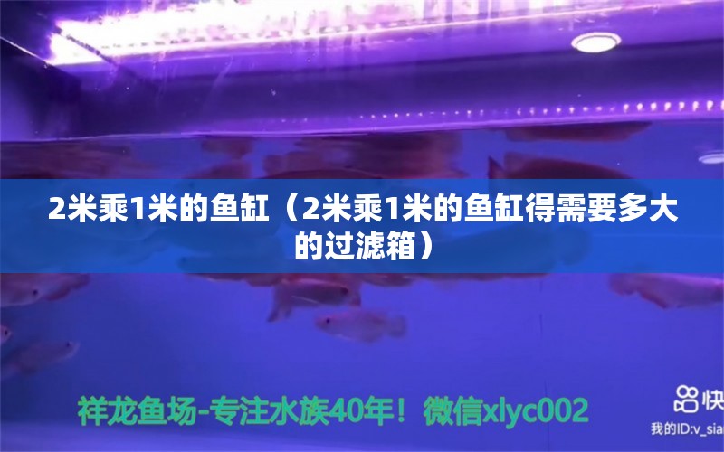 2米乘1米的鱼缸（2米乘1米的鱼缸得需要多大的过滤箱） 鱼缸百科