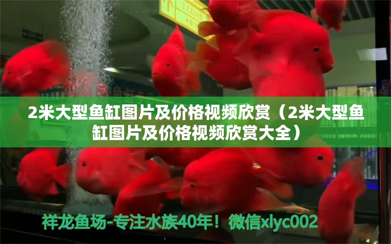 2米大型鱼缸图片及价格视频欣赏（2米大型鱼缸图片及价格视频欣赏大全） 其他品牌鱼缸