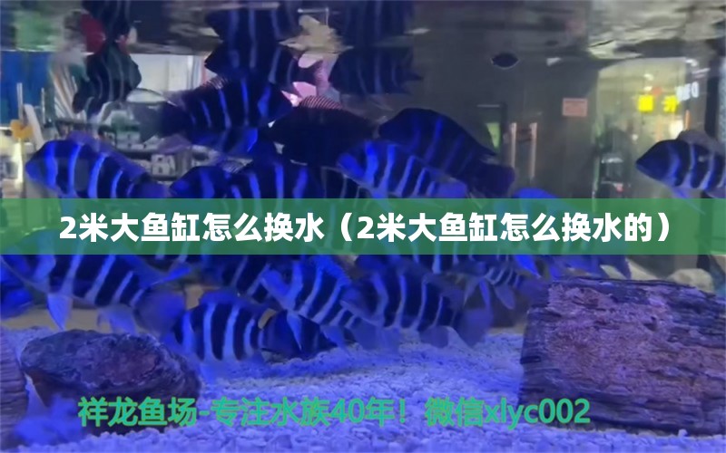 2米大鱼缸怎么换水（2米大鱼缸怎么换水的）