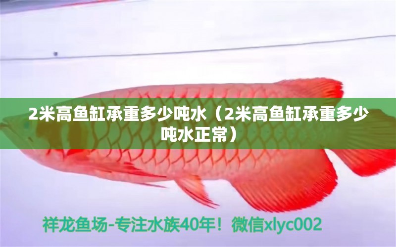 2米高鱼缸承重多少吨水（2米高鱼缸承重多少吨水正常） 其他品牌鱼缸