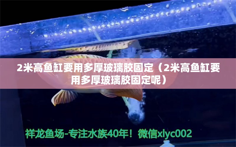 2米高鱼缸要用多厚玻璃胶固定（2米高鱼缸要用多厚玻璃胶固定呢）