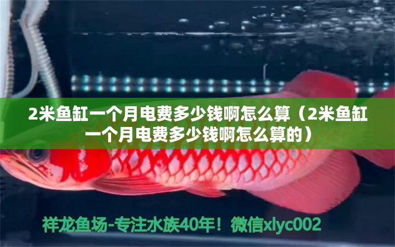 2米鱼缸一个月电费多少钱啊怎么算（2米鱼缸一个月电费多少钱啊怎么算的）