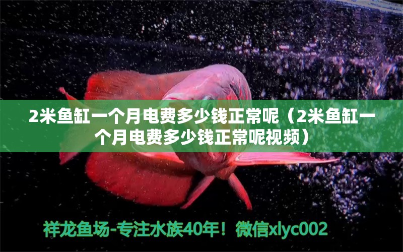 2米鱼缸一个月电费多少钱正常呢（2米鱼缸一个月电费多少钱正常呢视频）