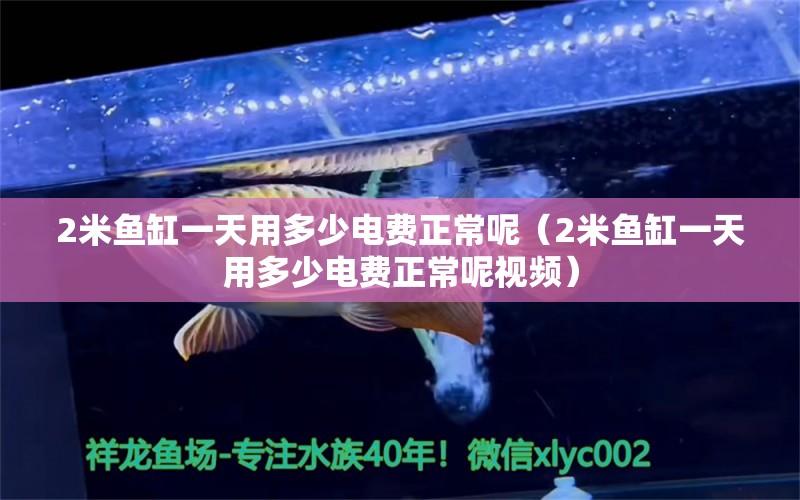 2米鱼缸一天用多少电费正常呢（2米鱼缸一天用多少电费正常呢视频） 鱼缸百科