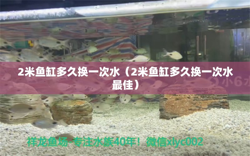 2米鱼缸多久换一次水（2米鱼缸多久换一次水最佳） 鱼缸百科