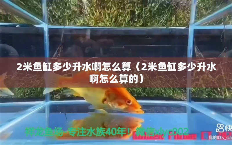 2米鱼缸多少升水啊怎么算（2米鱼缸多少升水啊怎么算的） 鱼缸百科