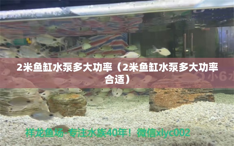 2米鱼缸水泵多大功率（2米鱼缸水泵多大功率合适）