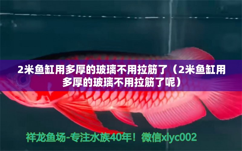 2米鱼缸用多厚的玻璃不用拉筋了（2米鱼缸用多厚的玻璃不用拉筋了呢） 鱼缸百科