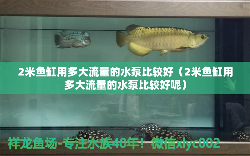 2米鱼缸用多大流量的水泵比较好（2米鱼缸用多大流量的水泵比较好呢）