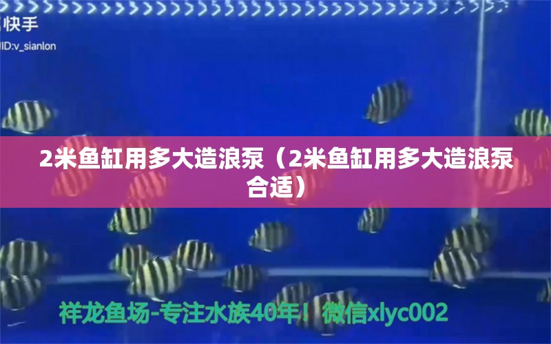 2米鱼缸用多大造浪泵（2米鱼缸用多大造浪泵合适） 鱼缸百科