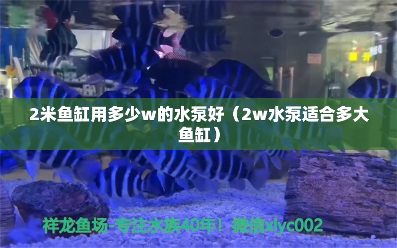 2米鱼缸用多少w的水泵好（2w水泵适合多大鱼缸）