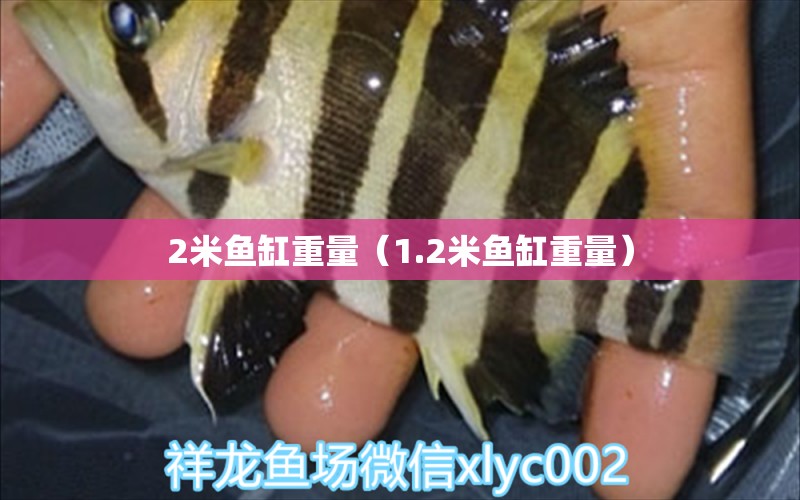 2米鱼缸重量（1.2米鱼缸重量）