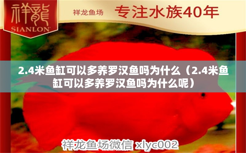 2.4米鱼缸可以多养罗汉鱼吗为什么（2.4米鱼缸可以多养罗汉鱼吗为什么呢）