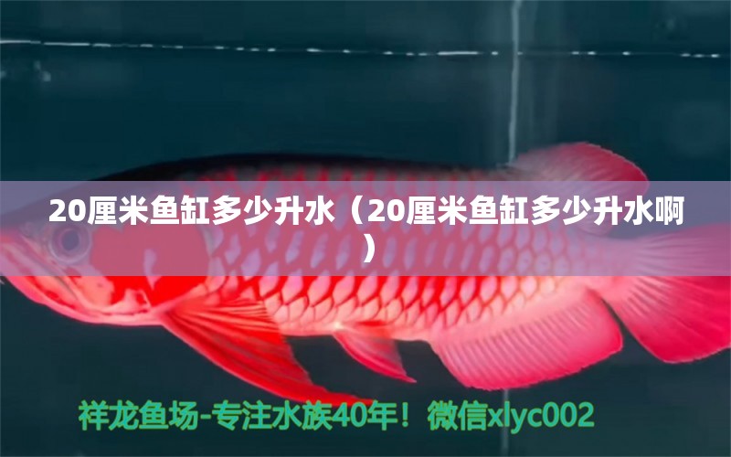 20厘米鱼缸多少升水（20厘米鱼缸多少升水啊） 其他品牌鱼缸