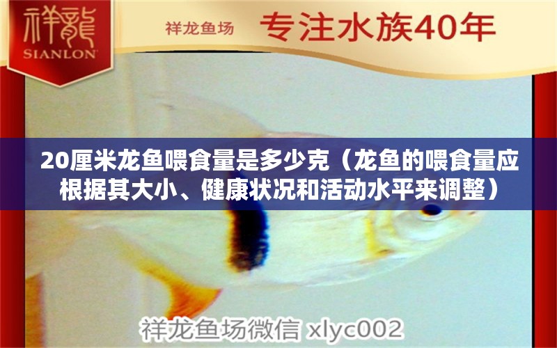 20厘米龙鱼喂食量是多少克（龙鱼的喂食量应根据其大小、健康状况和活动水平来调整） 水族问答 第2张