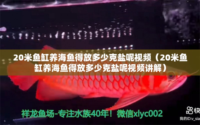 20米鱼缸养海鱼得放多少克盐呢视频（20米鱼缸养海鱼得放多少克盐呢视频讲解）