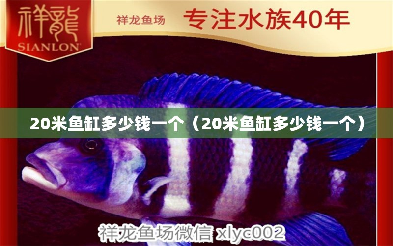 20米鱼缸多少钱一个（20米鱼缸多少钱一个） 其他品牌鱼缸