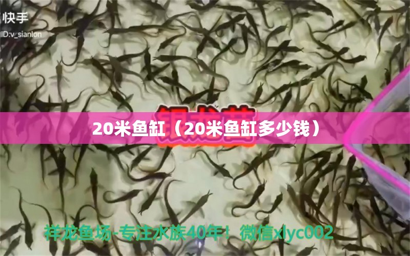 20米鱼缸（20米鱼缸多少钱）