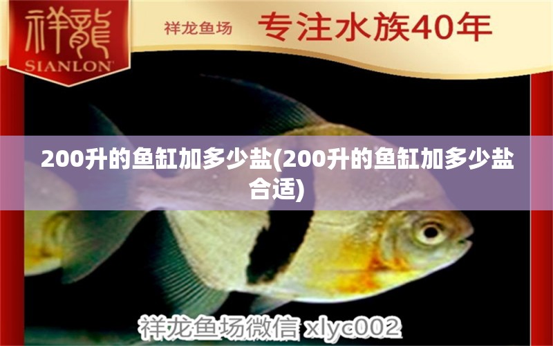 200升的鱼缸加多少盐(200升的鱼缸加多少盐合适) 狗头鱼