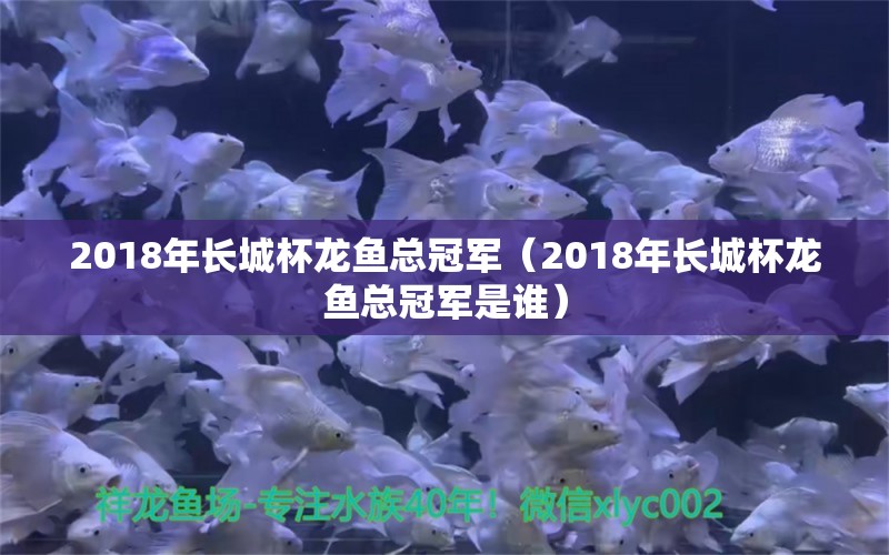 2018年长城杯龙鱼总冠军（2018年长城杯龙鱼总冠军是谁） 观赏鱼企业目录