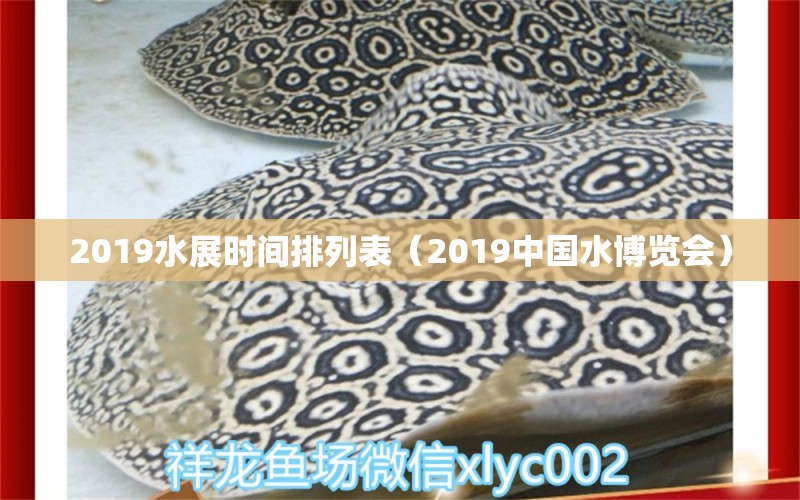 2019水展时间排列表（2019中国水博览会） 观赏鱼