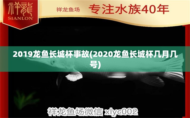 2019龙鱼长城杯事故(2020龙鱼长城杯几月几号)