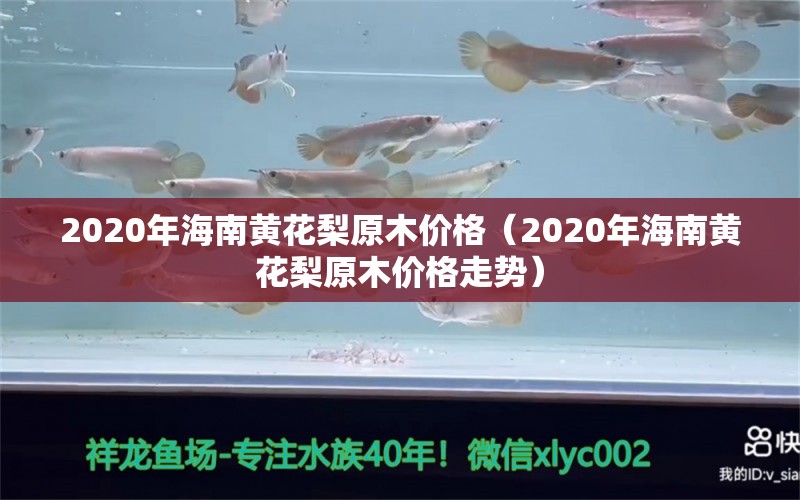 2020年海南黄花梨原木价格（2020年海南黄花梨原木价格走势） 文玩