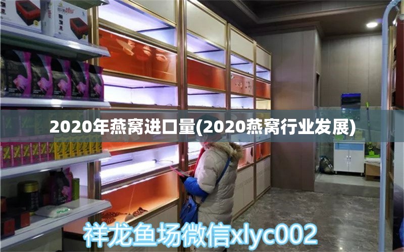 2020年燕窝进口量(2020燕窝行业发展) 马来西亚燕窝 第1张