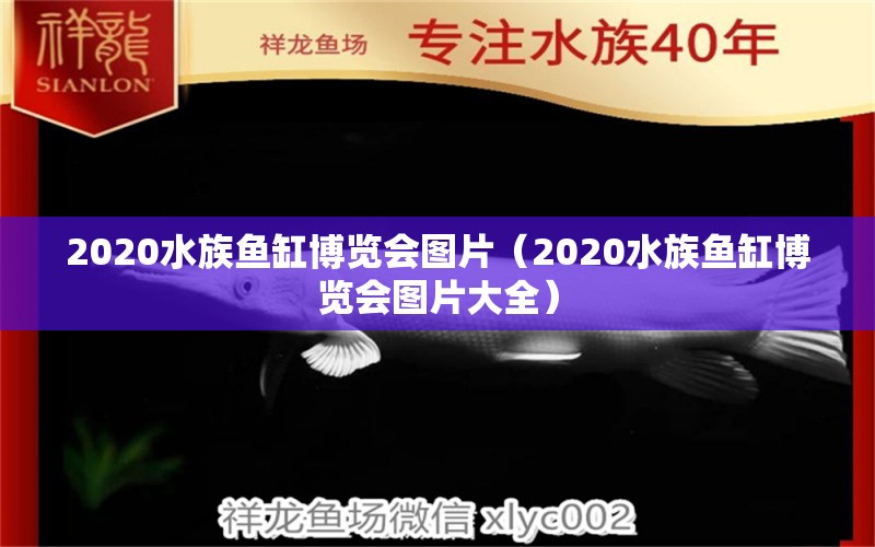 2020水族鱼缸博览会图片（2020水族鱼缸博览会图片大全）