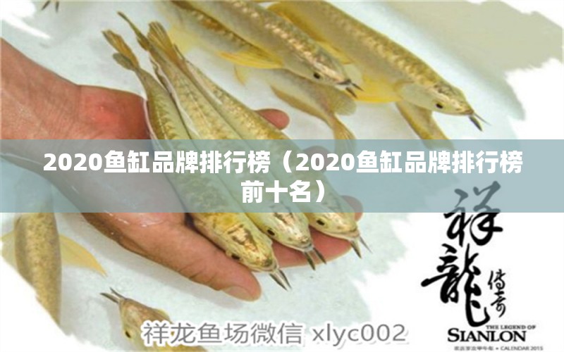 2020鱼缸品牌排行榜（2020鱼缸品牌排行榜前十名）