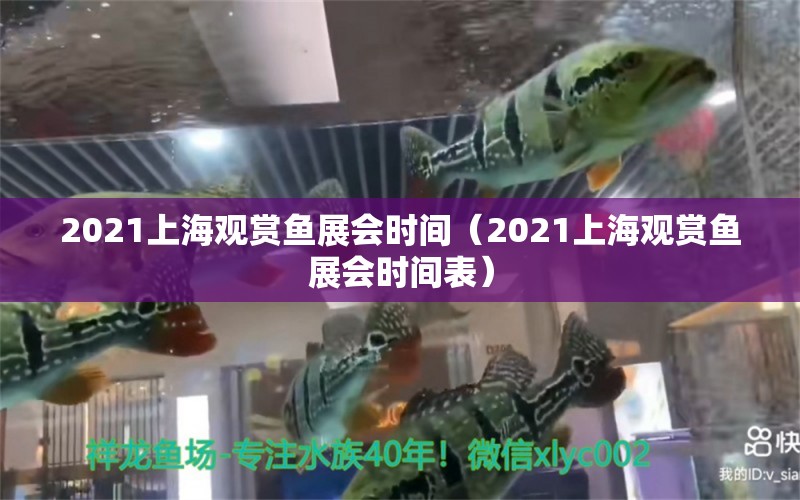 2021上海观赏鱼展会时间（2021上海观赏鱼展会时间表） 观赏鱼市场（混养鱼）